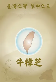 牛樟芝海報 牛樟芝海報
