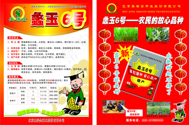 玉米宣传单页cdr矢量模版下载