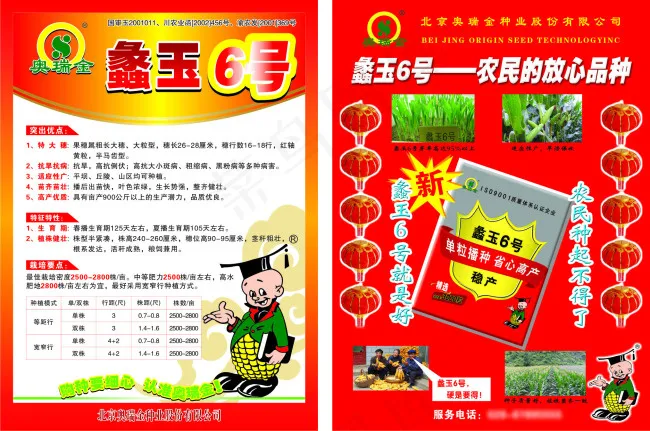 玉米宣传单页cdr矢量模版下载