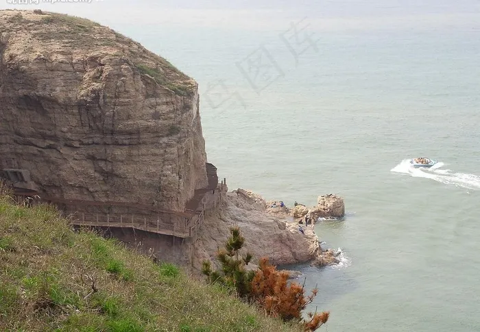 神龟探海图片