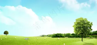 踏青春蓝天白云绿草地背景