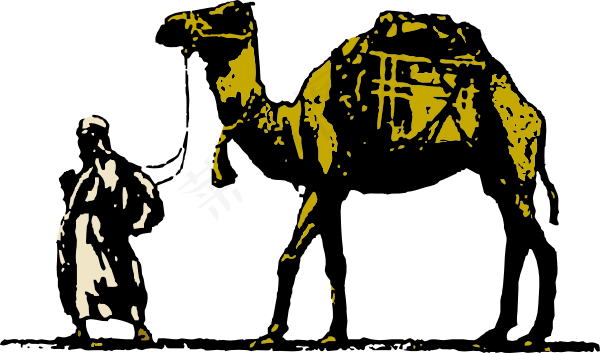 骆驼的剪辑艺术