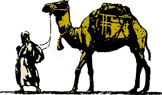 骆驼的剪辑艺术