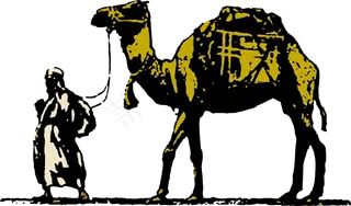 骆驼的剪辑艺术