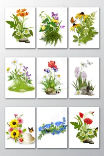 高清花草蝴蝶图片PNG素材