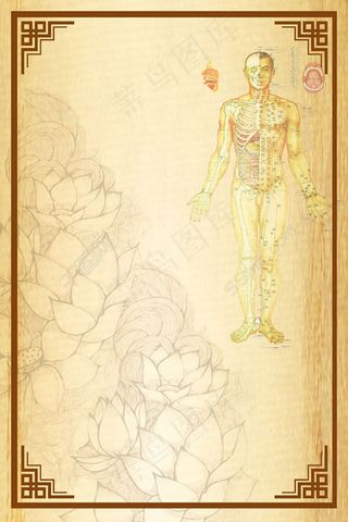 中国风美容养生展板背景PSD素材