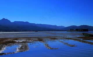 丽江拉市海景图片
