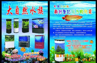 大自然水族DM宣传单