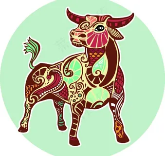 公牛图片 公牛图片