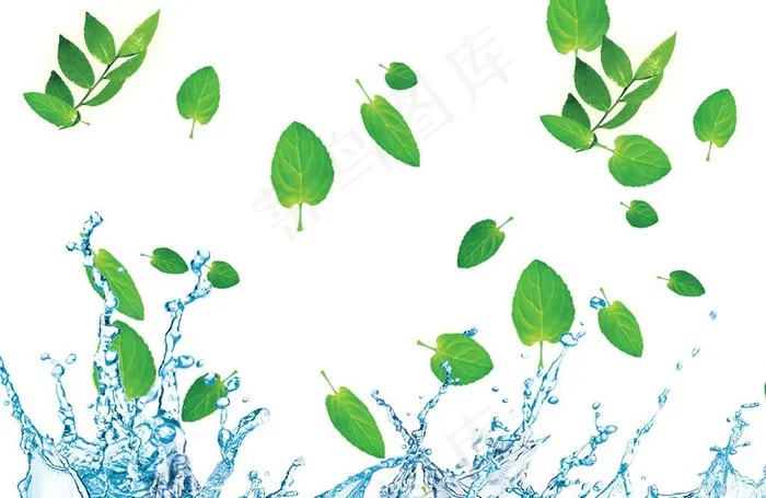 飞溅的水滴 树叶图片psd模版下载
