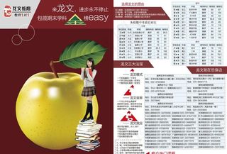 龙文教育培训宣传页