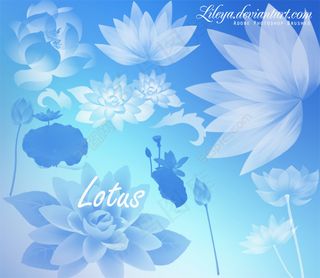 非常漂亮的荷花PS笔刷