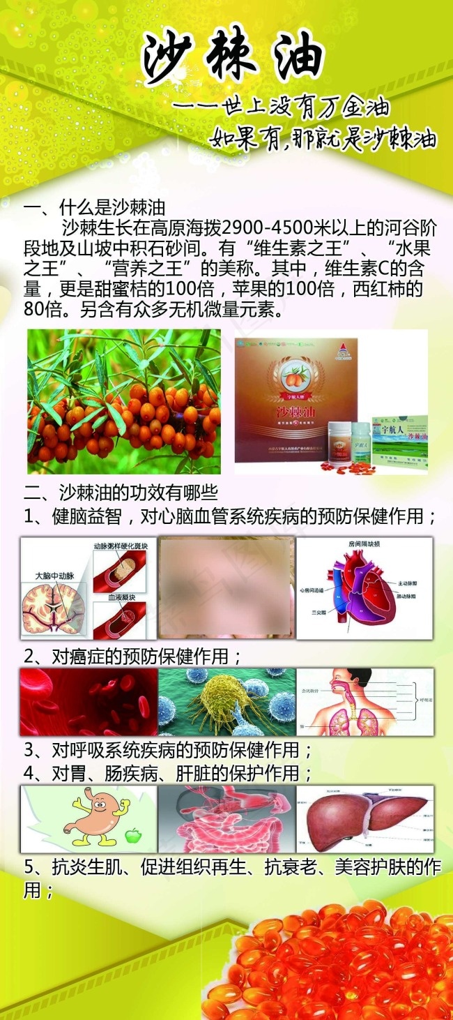 X展架1(1575X3543(DPI:100))psd模版下载