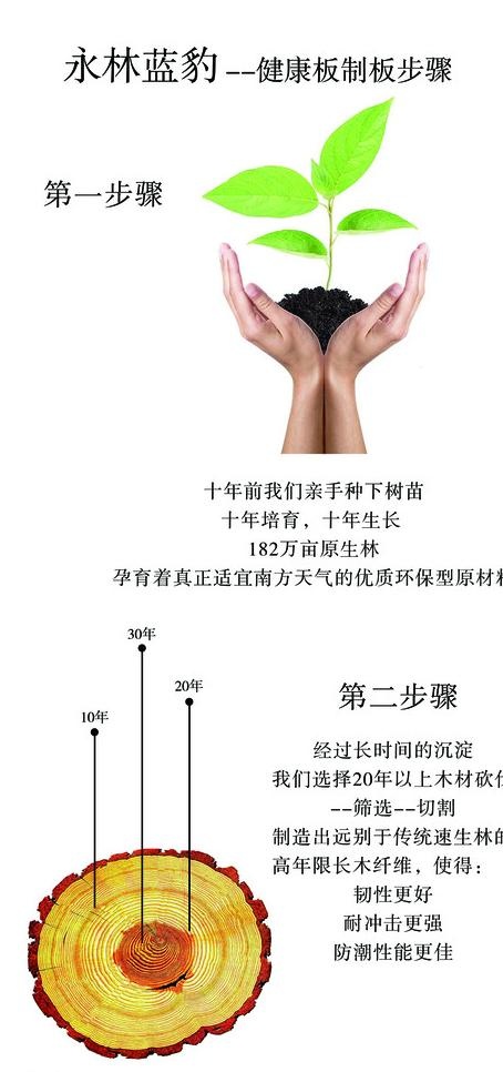 永林蓝豹地板图片psd模版下载