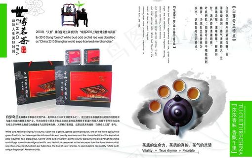 茶叶画册图片