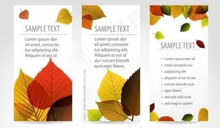 秋叶名片 吊牌模板图片