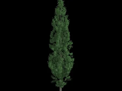 景观亭图片 景观亭图片