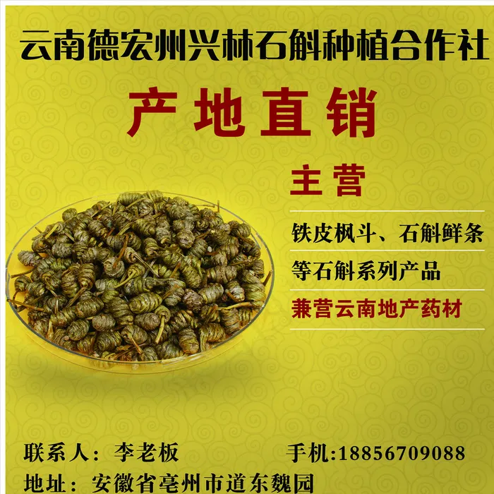 石斛产地直销图片psd模版下载