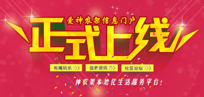 网站上线bannerpsd模版下载