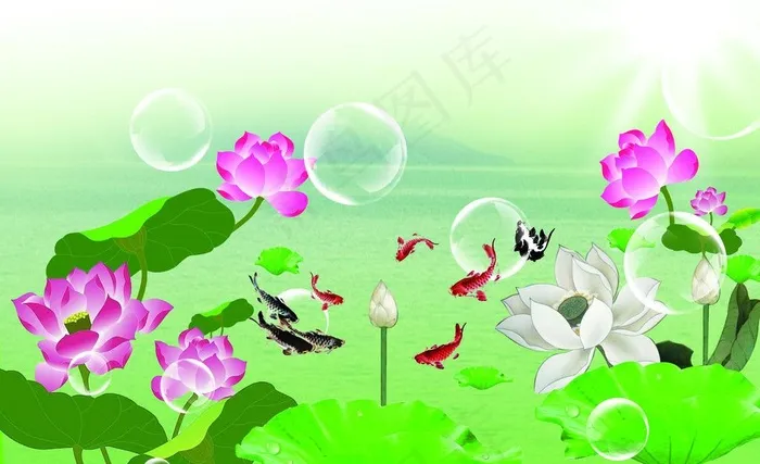 金鱼荷花图片(7087X4724(DPI:200))psd模版下载