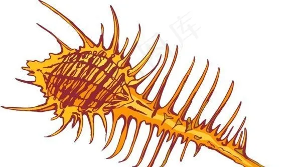 贝壳 水生动物 矢量素材 EPS格式_0065eps,ai矢量模版下载