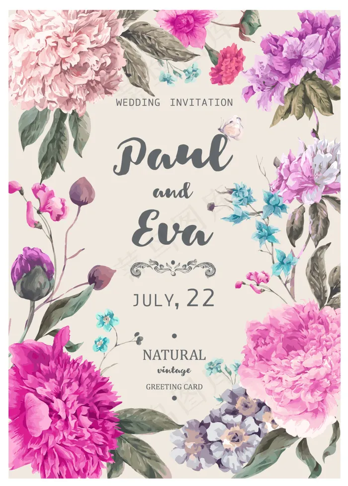 精美手绘花朵植物矢量素材eps,ai矢量模版下载