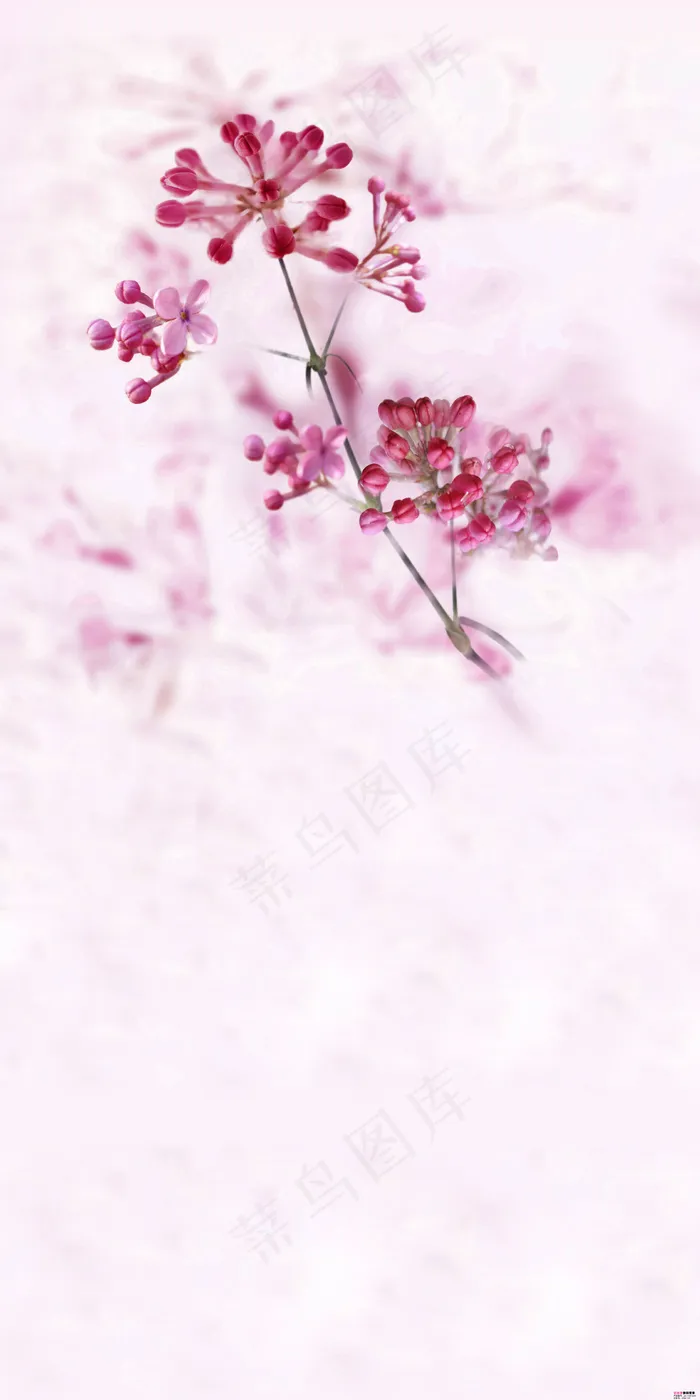 花朵玄关背景墙