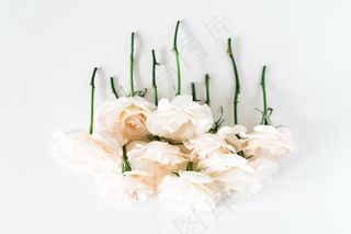 简约小清新文艺风插花静物摆拍背景