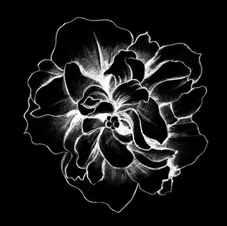 手绘桔梗花图案素材