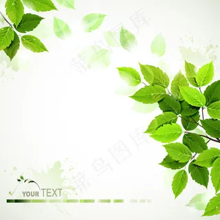 精美绿色树叶矢量素材