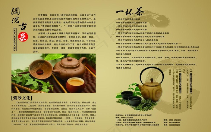 古茶宣传单页图片