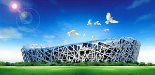 阳光鸟巢风景图片