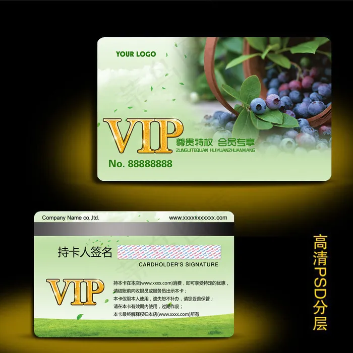 水果蓝莓VIP会员卡模版设计psd模版下载