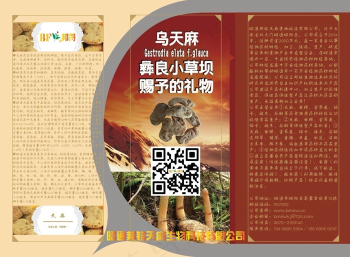 云南乌蒙本草生物科技开发有限公司ai矢量模版下载