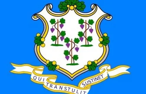 康涅狄格州的旗帜的剪辑艺术