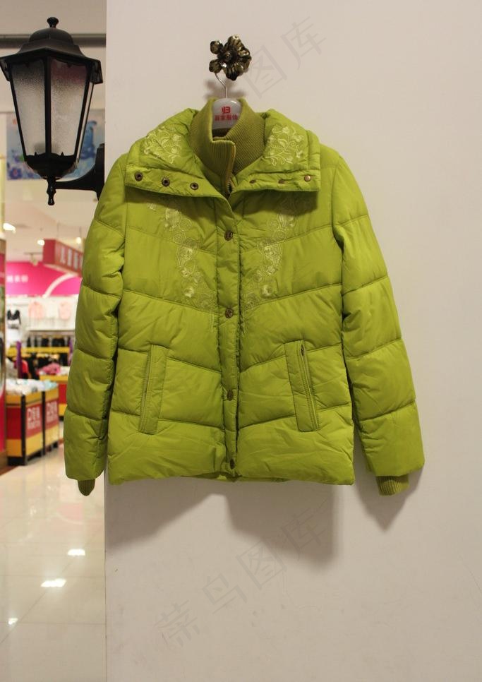 女士羽绒服图片