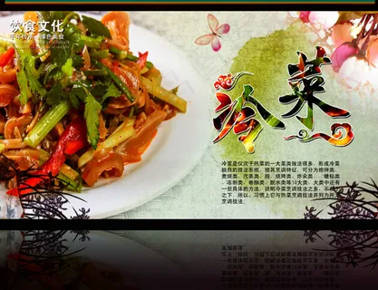舌尖上的冷菜 舌尖上的冷菜