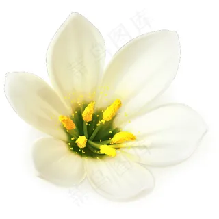 矢量桃花 矢量桃花