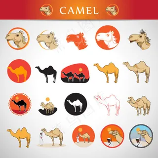 各种骆驼图案矢量素材
