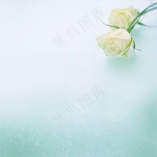 小清新花朵背景