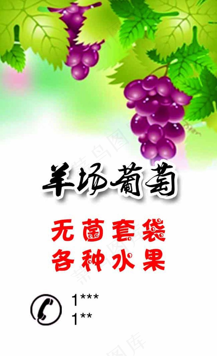 葡萄名片(650X1063(DPI:300))psd模版下载
