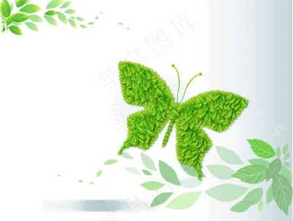 绿叶蝴蝶图片