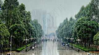 校园雨景图片
