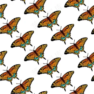 蝴蝶花纹矢量图素材