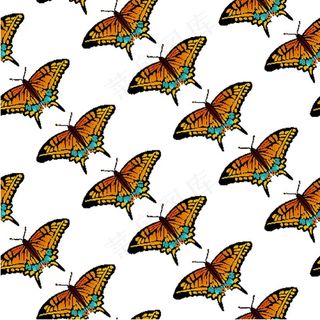 蝴蝶花纹矢量图素材