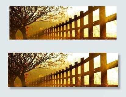 唯美的秋季树林风景素材