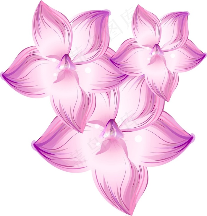花瓣素材cdr矢量模版下载