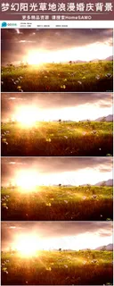 唯美阳光草地光芒婚礼led舞台背景...