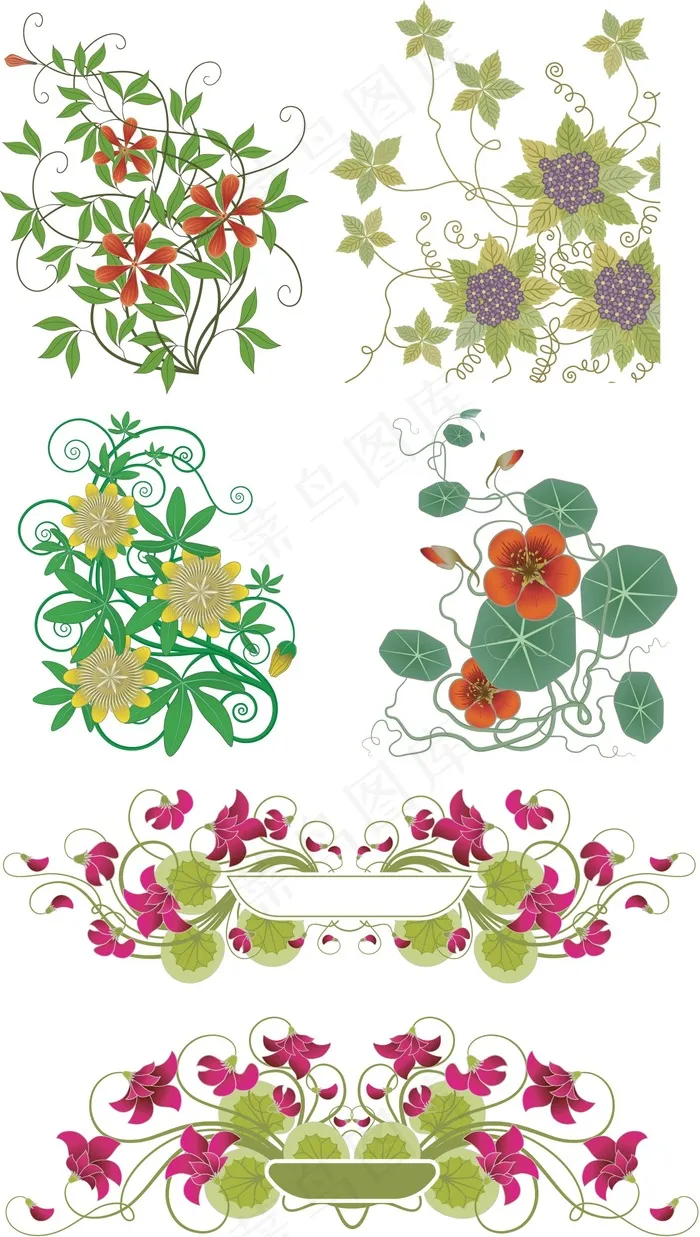 鲜艳花朵藤蔓植物矢量图 AI