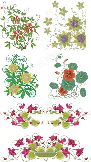鲜艳花朵藤蔓植物矢量图 AI